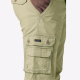 Брюки Lee Wyoming Cargo Ripstop